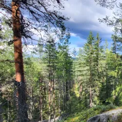 Laukaa Hiking Area - Aanekoski