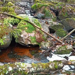 Laukaa Hiking Area - Aanekoski