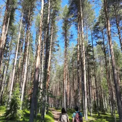 Laukaa Hiking Area - Aanekoski
