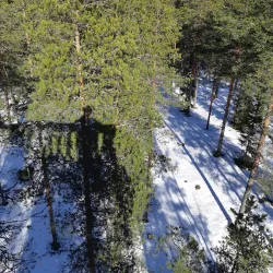 Laukaa Hiking Area - Aanekoski