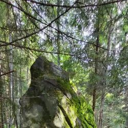 Laukaa Hiking Area - Aanekoski