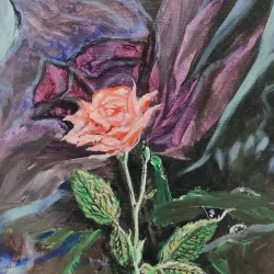 Äänekoski Cultural Center - Aanekoski