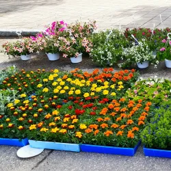 Äänekoski Market Square - Aanekoski