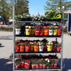 Äänekoski Market Square - Aanekoski