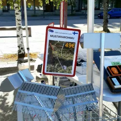 Äänekoski Market Square - Aanekoski