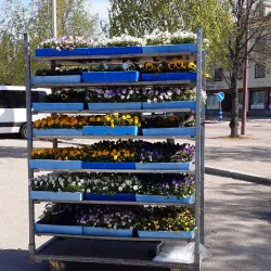 Äänekoski Market Square - Aanekoski