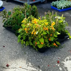 Äänekoski Market Square - Aanekoski