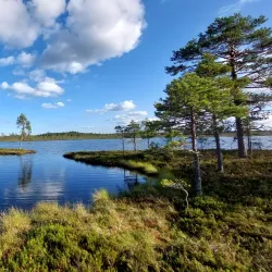 Pohjankangas Nature Trail - Aanekoski