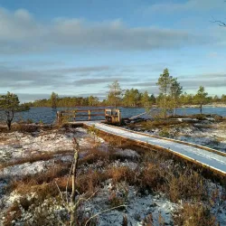 Pohjankangas Nature Trail - Aanekoski
