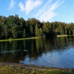 Suolahden Beach - Aanekoski