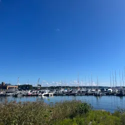 Espoo Waterfront and Rantaraitti Trail - Espoo