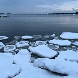 Espoo Waterfront and Rantaraitti Trail - Espoo