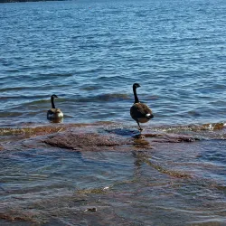 Haukilahti Beach - Espoo