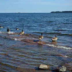 Haukilahti Beach - Espoo