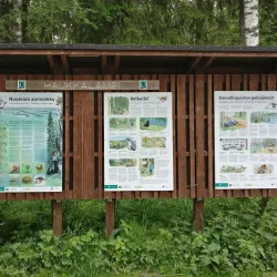 Nuuksio National Park - Espoo
