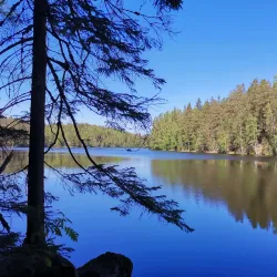 Nuuksio National Park - Espoo
