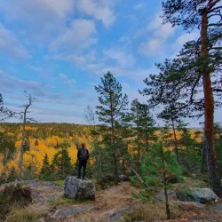 Nuuksio National Park - Espoo