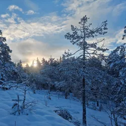 Nuuksio National Park - Espoo