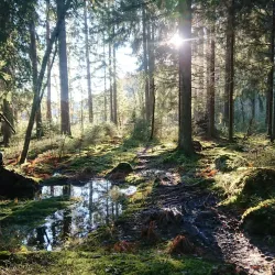 Nuuksio National Park - Espoo