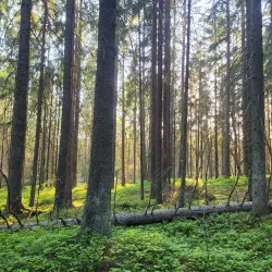 Nuuksio National Park - Espoo