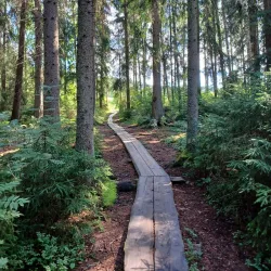 Aulanko Nature Reserve and Park - Hameenlinna