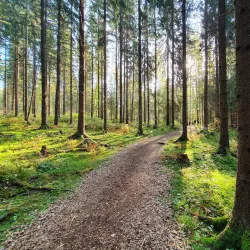 Aulanko Nature Reserve and Park - Hameenlinna