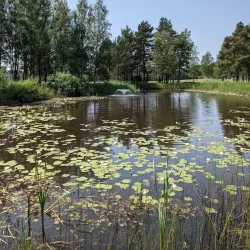 Hanko Golf Club - Hanko
