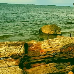 Tulliniemi Nature Reserve - Hanko