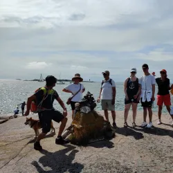 Tulliniemi Nature Reserve - Hanko
