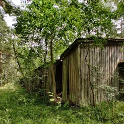 Tulliniemi Nature Reserve - Hanko
