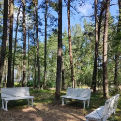 Tulliniemi Nature Reserve - Hanko