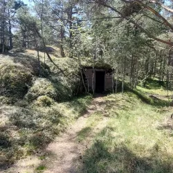 Tulliniemi Nature Reserve - Hanko