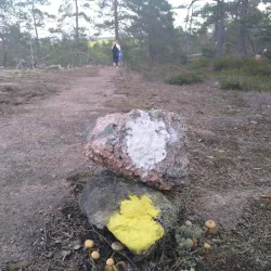 Kiviniemi Nature Trail - Huittinen