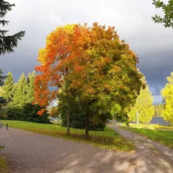 Karelian Museum - Imatra