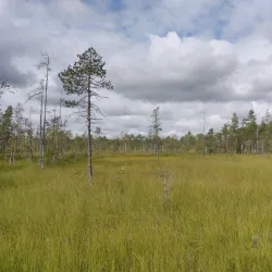 Patvinsuo National Park - Imatra