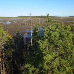Patvinsuo National Park - Imatra