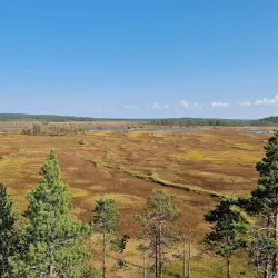 Patvinsuo National Park - Imatra