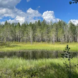 Patvinsuo National Park - Imatra