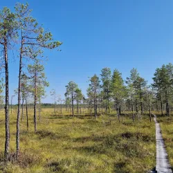 Patvinsuo National Park - Imatra