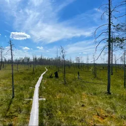 Patvinsuo National Park - Imatra