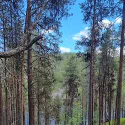 Hiking Trails in Lemmenjoki National Park - Inari