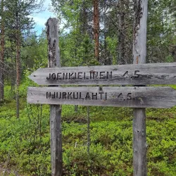 Hiking Trails in Lemmenjoki National Park - Inari
