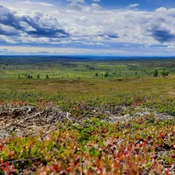Hiking Trails in Lemmenjoki National Park - Inari