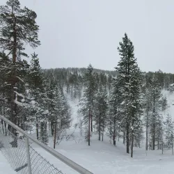 Northern Lights Viewing Spots - Inari