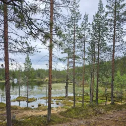 Northern Lights Viewing Spots - Inari