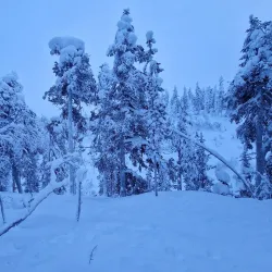 Northern Lights Viewing Spots - Inari