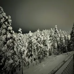 Northern Lights Viewing Spots - Inari