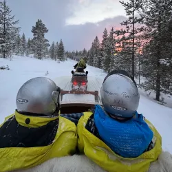 Reindeer Farms - Inari