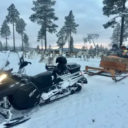 Reindeer Farms - Inari