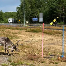 Sajos Cultural Center - Inari